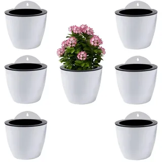 ShoppeWatch Selbstbewässernde Wand Hängende Blumentöpfe 7 Stück | Wandvasen für Pflanzen Blumen, Innen- und Außenbereich | Pflanzen Wand | Groß, 18,5 cm PL35