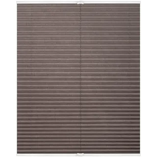 Lichtblick Original Plissee Klemmfix, Ohne Bohren, Verspannt Taupe, 210 cm, 80, 210 , Kunststoff , 80x210 cm , Heimtextilien, Vorhänge, Plissees