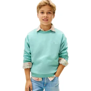 Tommy Hilfiger Unisex Mini Corp C-Neck Ks0ks00665 Pullover-Sweatshirt, Blue (Ocean Spray), 16 Years