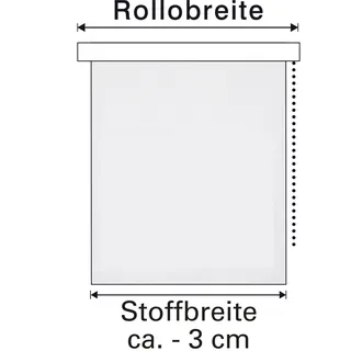 GARDINIA EasyFix Rollo mit Blättern weiß 60 x 150 cm