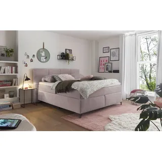 Set One by Musterring Boxspringbett »Fairfield« mit Metallfuß schwarz, Wendematratze, Breite 160 oder 180 cm rosa