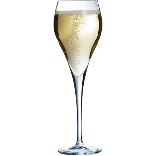 Arcoroc ARC J1478 Brio Sektglas, Sektkelch, 160ml, Glas, transparent, 6 Stück