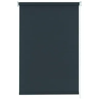 GARDINIA »Seitenzug-Rollo Verdunklung« verdunkelnd mit Bohren lichtundurchlässig,