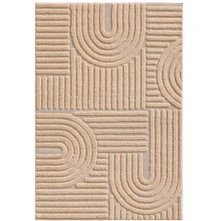 Ayyildiz Hochflorteppich »ART Rosa ca. 120x170cm
