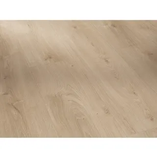 Parador Basic 600