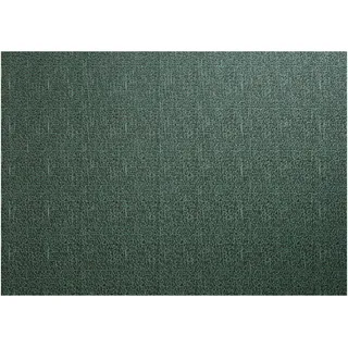 ASA Woven Tischset Kunstfaser Grün, Größe: 46cm x 33cm, 78015076 1 Stück