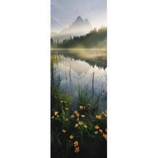 KOMAR Fototapete Vlies Morning Mist 100 x 280 cm