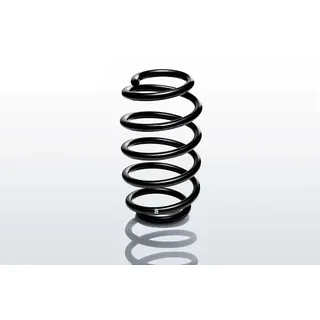 EIBACH Fahrwerksfeder r10247 Hinterachse für BMW