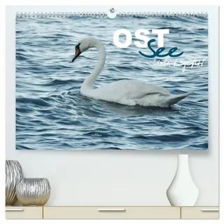Ostsee - Urlaubsgefühl (hochwertiger Premium Wandkalender 2026 DIN A2 quer), Kunstdruck in Hochglanz: Traumreise an das deutsche Binnenmeer (CALVENDO Natur)