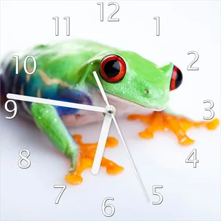 Wallario Design Wanduhr Lustiger Frosch in grün und orange aus Echtglas, Größe 20 x 20 cm - Weiß