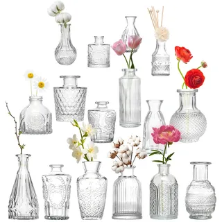 DOKKOME Kleine Vasen Set 16PCS Glasvase Mini Tischvase Dekovasen Blumenvase Mini Vasen Set Hochzeitsdekorationen Blumen Deko für Home Hochzeit Tafelaufsätze Party
