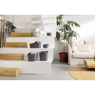 Curver Softex Aufbewahrungskorb S 4l Anthrazit - Grau