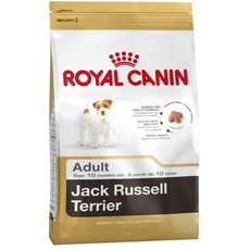 Bild von Jack Russell Terrier Adult 1,5 kg