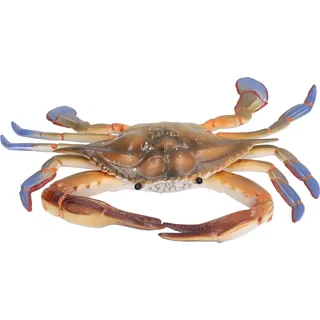 Krabbe Meerestier Modell Figur Ozean Spielzeug Lernspielzeug für KinderPL127-1298