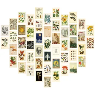 Werownsgso 50 Stück Retro-Wandcollage-Set 10,2 X 15,2 CM Beige Wandcollage Vintage-Pflanzen-Wandkunst Bilder Poster ästhetik Geeignet Für Wohnzimmer Zimmer Büro Dekoration