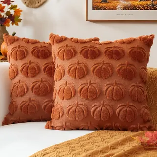JOTOM 2er Set Kürbis Kissenbezüge, Plüsch Kurze Wolle Dekorativ Zierkissenbezüge Herbst Boho Kissenhüllen Sofakissen Moderne Kissenbezug Herbstdeko für Wohnzimmer Garten (45x45cm, Rost)