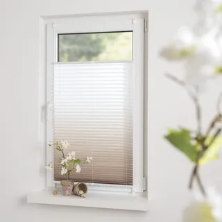 GARESA Plissee »Farbverlauf« Lichtschutz ohne Bohren verspannt einfache Montage, blickdicht, dekorativ GARESA + weiß + weiß 130 cm