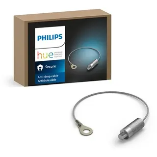 Philips Hue Anti drop Cable
