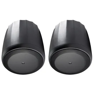 JBL C60PS/T Hänge-Subwoofer mit passiver Frequenzweiche 75 Grad Abdeckung. 6.5 Inch Schwarz