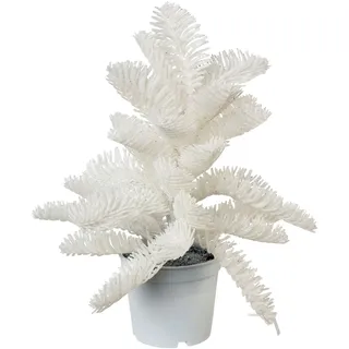 Künstlicher Weihnachtsbaum CREATIV GREEN, weiß, B:20cm H:30cm T:20cm, Kunststoff, Weihnachtsbäume, Künstlicher Weihnachtsbaum, im farblich passenden Topf