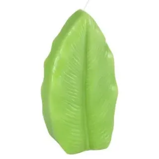 HOMEA 6BDC036VC Dekokerzen, Anisgrün, klein