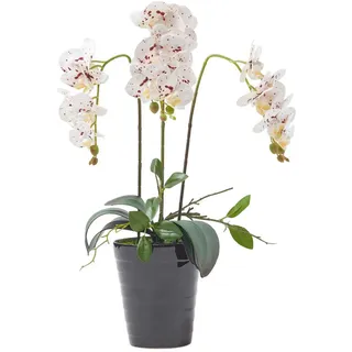 Homescapes Kunstblume Orchidee weiß-pink im Deko-Topf, 56 cm