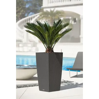 LECHUZA Cube Cottage 40  Komplettset 40 x 40 x 40 cm granit