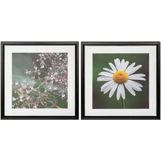 Creativ home Bild mit Rahmen "Blüte und Tau" 2 Stk. tlg. auf Canvas-Leinwand, farbe rahmen: schwarz, farbe bild(er): grün, schwarz