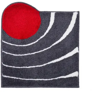 Colani 2 60 x 60 cm anthrazit