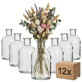 gouveo 12er Set Glasvase 250 ml (0,25 l) Apo250 rund ohne Deckel – Kleine Dekovasen aus Klarglas für Trockenblumen, Tischdeko, Hochzeit – Apothekerflaschen-Design (AVTR250)