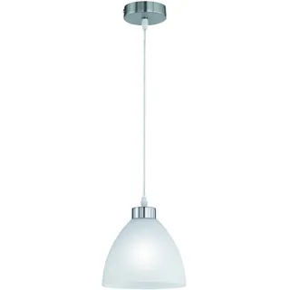 Trio Dallas 1-flg. 20 cm grau/Glas opal matt weiß