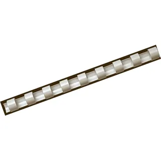 Fellowes Binderücken für Plastikbindung, 10 mm Durchmesser, 21 Ringe, für A4 Dokumente, weiß, Packung mit 25 Stück