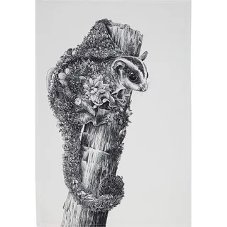 MAXWELL & WILLIAMS Marini Ferlazzo Geschirrtuch mit Tiermotiv Kurzkopfgleitbeutler 100% indische Baumwolle, weiß, 50 x 70 cm