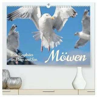 Möwen die Begleiter an Meer und See (hochwertiger Premium Wandkalender 2026 DIN A2 quer), Kunstdruck in Hochglanz: Überall an Gewässern und am Meer findet man sie, die Möwen. (CALVENDO Orte)
