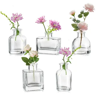 Hewory Mini Vasen Set 5er Minivasen Klar Kleine Vasen für Tischdeko | Assortierte Mini Blumenvase, Handflächengroß Glasvase, Modern Propagation Stastion für Esstisch Home Deko Wohnzimmer