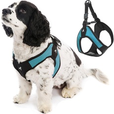 Gooby - Escape Free Easy Fit Harness, Small Dog Step-In Harness for Dogs That Like to Escape Their Harness, Turquoise, Large