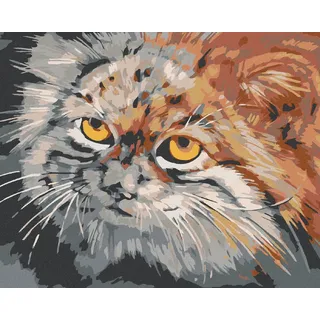 Zuty 1067170, Malen nach Zahlen-GRAUBRAUNE Katze 40x50 cm ohne Keilrahmen