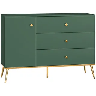 Feldmann-Wohnen Sideboard, Forest Kommode 120x40x85cm dunkelgrün