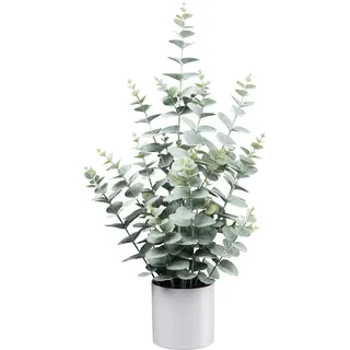 Creativ green "Eukalyptus", mit üppigem Blattwerk,