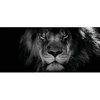 Leinwandbild BÖNNINGHOFF "Wandbild LÖWENKOPF XXL 90x200 cm – Leinwandbild Keilrahmen Deko modern", schwarz (farbe bild(er): schwarz, weiß), B:200cm H:90cm T:3,5cm, Canvas, MDF, Bilder, Leinwandbild, auf Keilrahmen gespannt