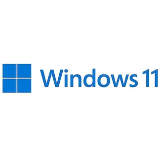 Windows 11 Pro DVD NL