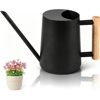 Giesskanne Zimmerpflanzen, 1000ml Gießkanne Schwarz, Edelstahlgießkanne, Kleine Gießkannefür Zimmerpflanzen Bonsai Outdoor Garten Blume Deko
