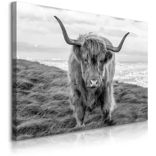 Muralo Leinwandbild CANVAS Schottisches Hochlandrind Kuh Tiere Bergen Natur 3D schwarz/weiß/grau 90 cm x 60 cm
