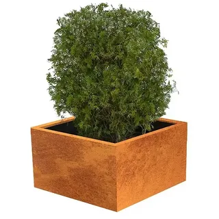 Palatino Exclusive Line Pflanzkübel eckig Clara (100 x 100 x 50 cm, Cortenstahl, Rotbraun)