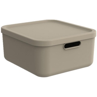 Rotho Box MIT Deckel , Cappuccino , Kunststoff , 35.5x17.7x39.5 cm , BPA-frei, Reach, DIN EN ISO 14001, DIN EN ISO 9001 , Tragegriff, Deckel abnehmbar, stapelbar, recycelbar, integrierte Durchlüftung , Ordnen & Aufbewahren, Deko-& Aufbewahrungsboxen, Stapelboxen