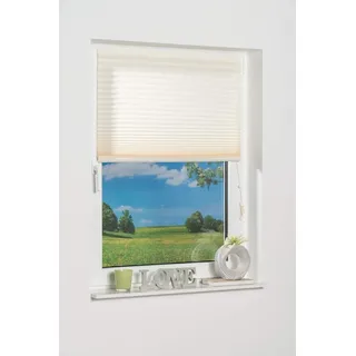 K-home Klebe-Plissee Creme Lichtschutz, 70 x 130 cm (B x L)