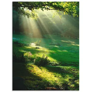 Artland Wandbild »Lichtkegel«, Wald, (1 St.), als Alubild, Outdoorbild, Leinwandbild, Poster, Wandaufkleber Artland grün