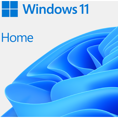 Bild von Windows 11 Home ES