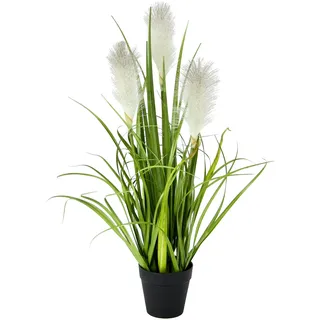 FLAIR Flower Pampasgras Im Topf, Polyester, Kunststoff, Weiß, 20 x 20 x 55 cm