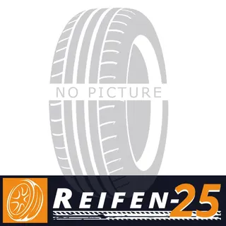 Winter i*cept RS3 W-462 205/65 R16 95H